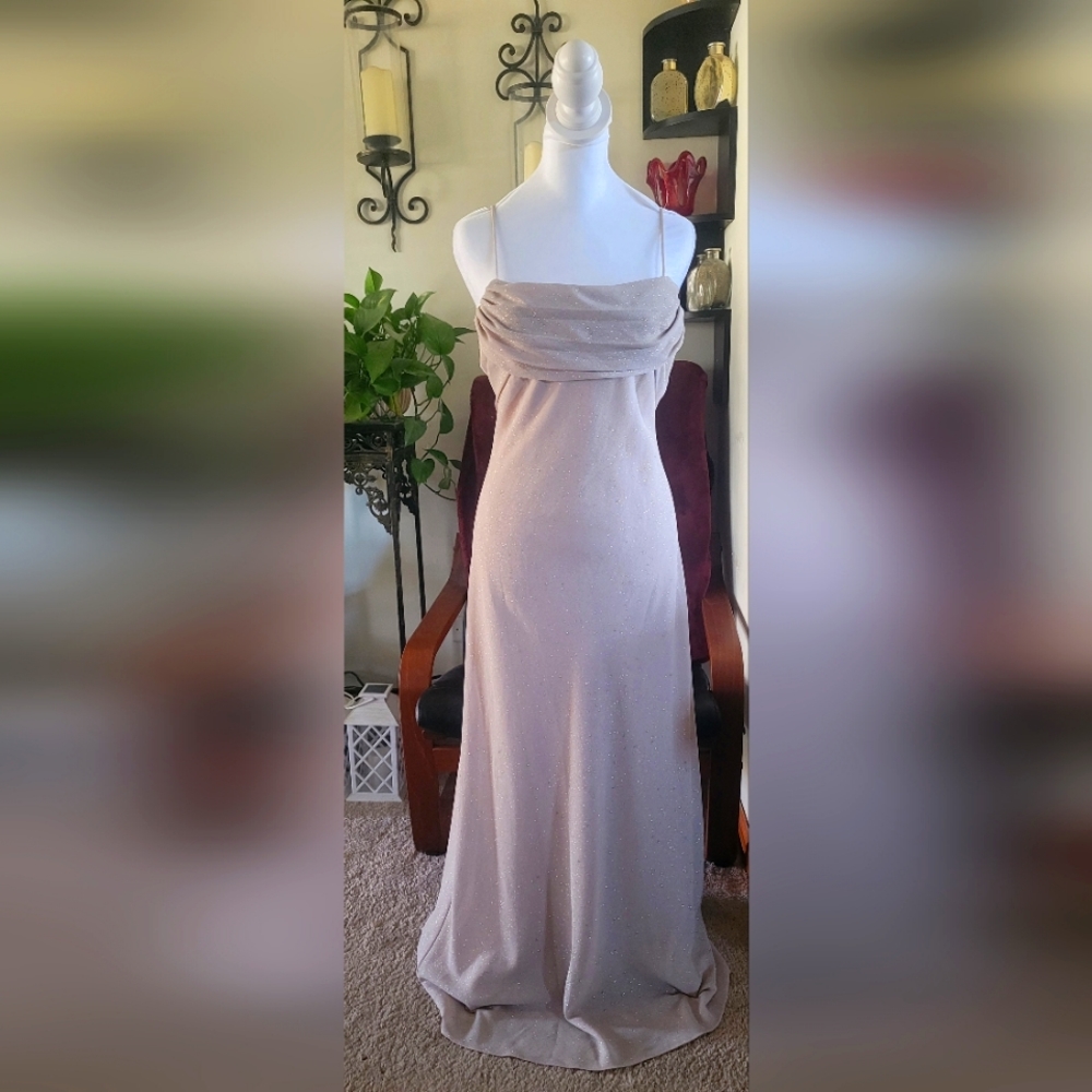 Elegant Shimmery Champagne Formal Dress
